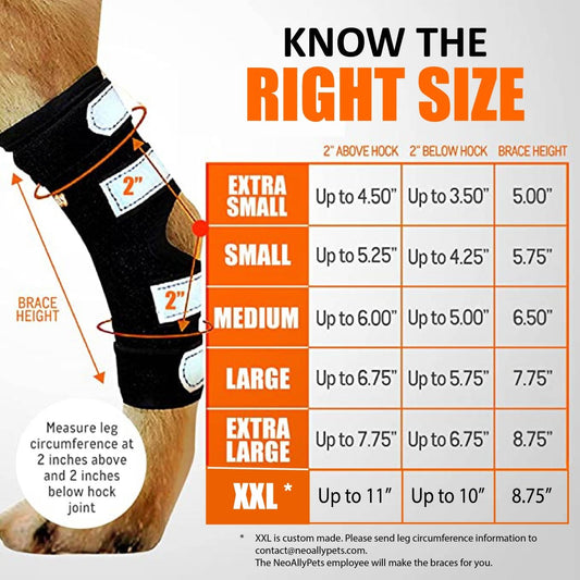 Dog long rear leg hock brace with black fabric and reflective-style side straps