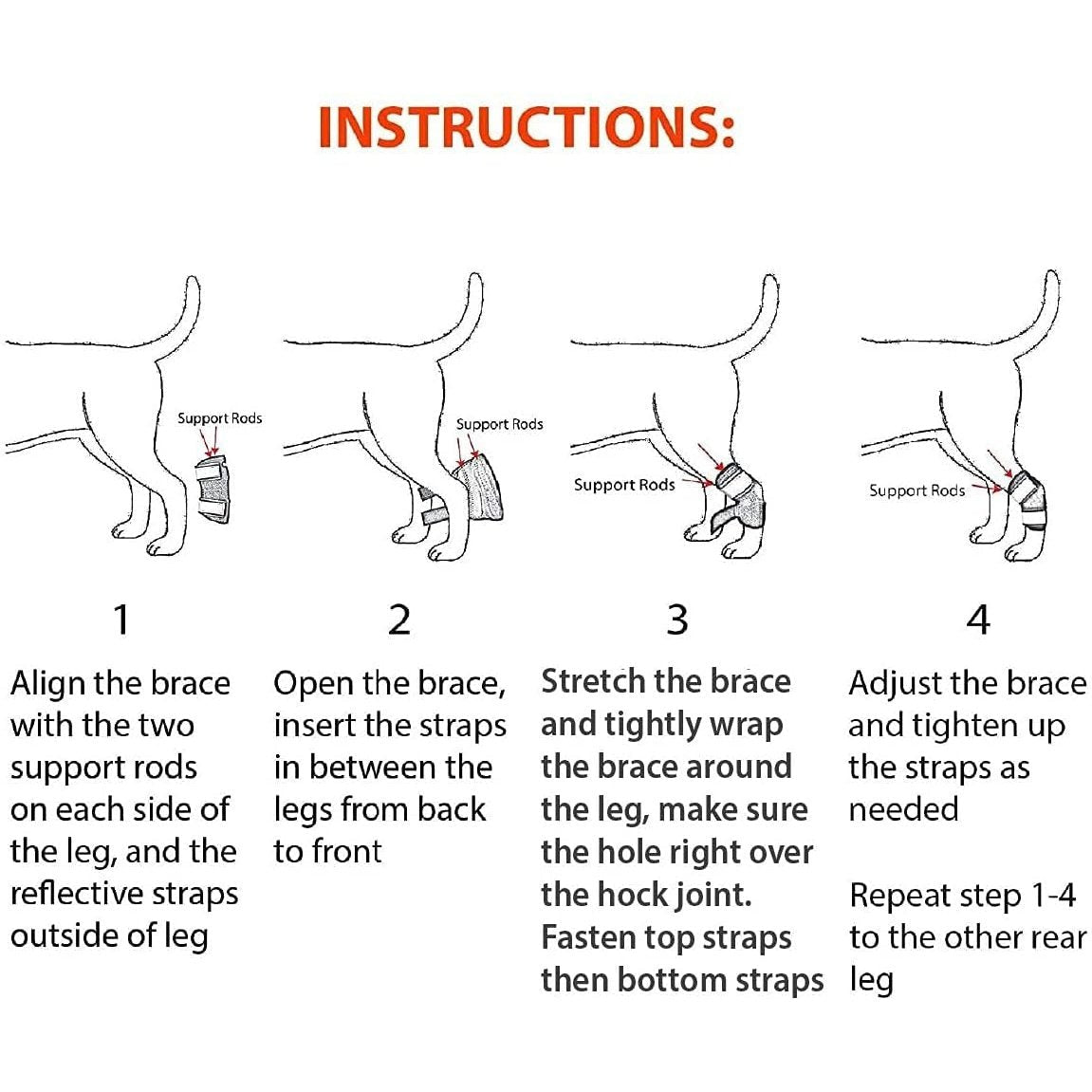 Diagram instructions for fitting a rear leg hock brace with support rods and straps