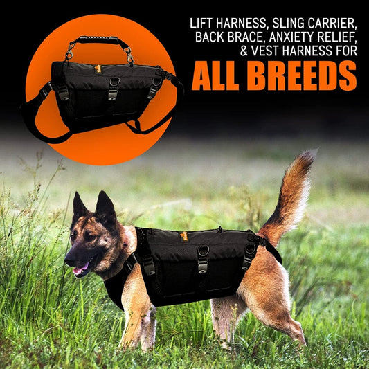 Black dog lifting sling harness with front carrier panel and back lift straps