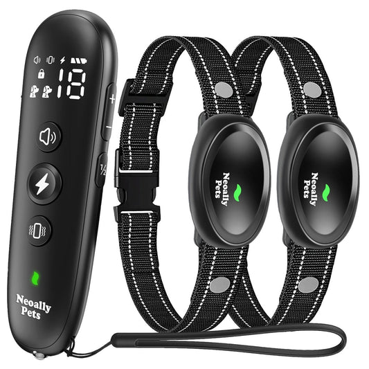 Black remote and dual receiver-style collars with braided fabric straps