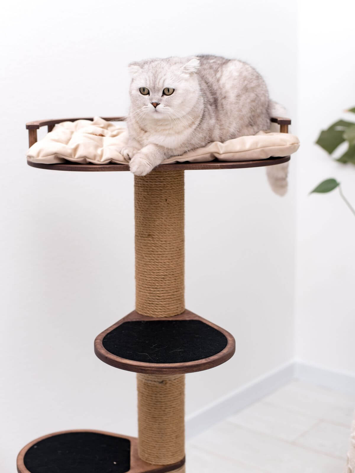 Small cat tree with cushioned top bed and black lower perch; cat lying on the bed.