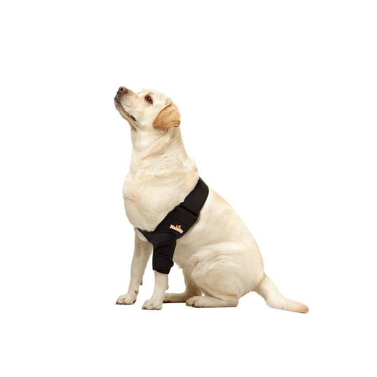 Dogs - Kind2Pets