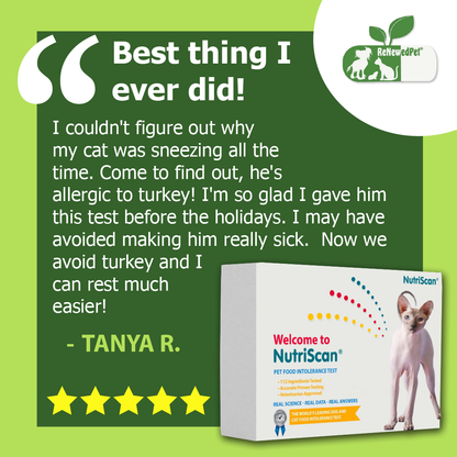 NutriScan cat intolerance test kit with cat, shown on package beside five star rating.