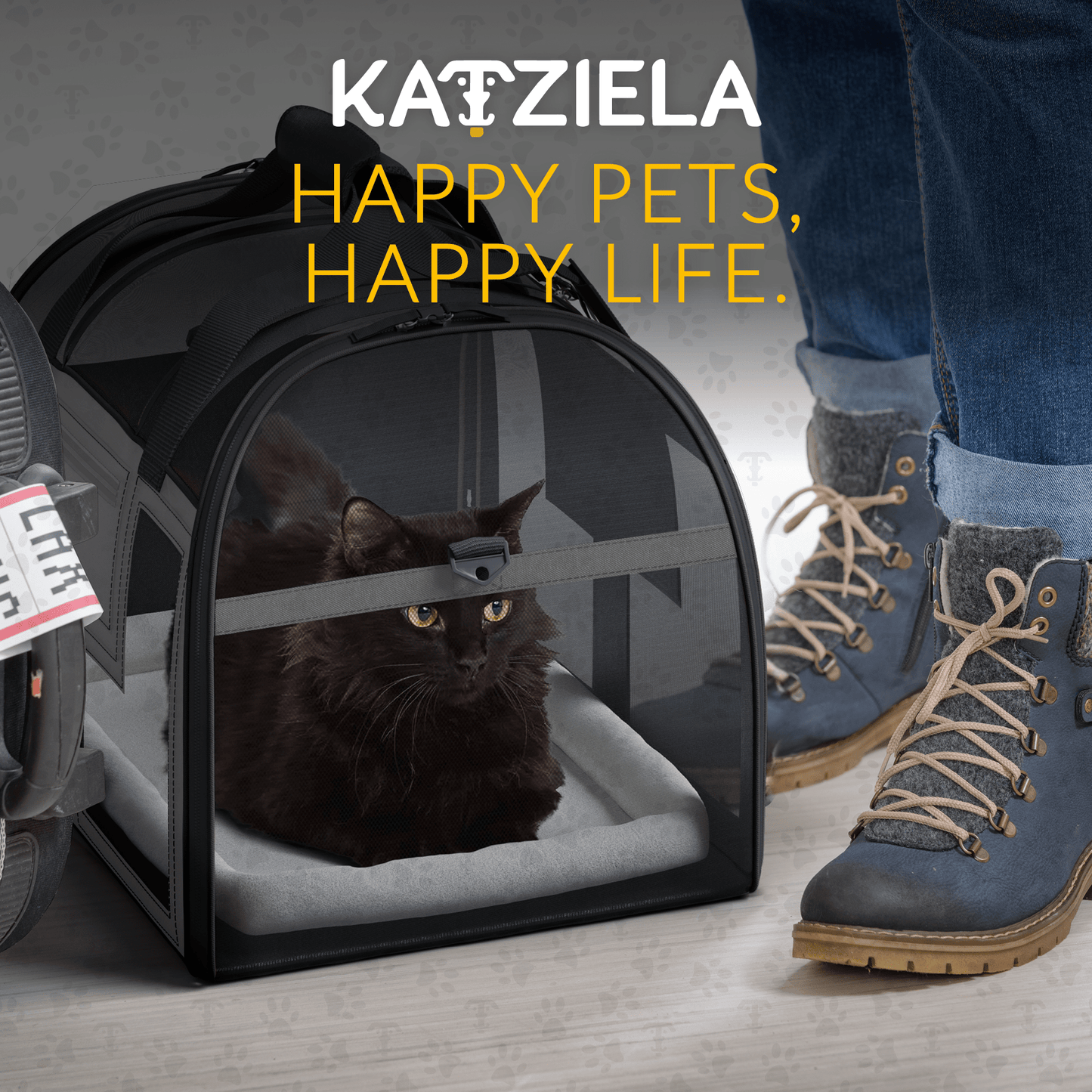 Rolling pet carrier with front mesh window and cushioned base; cat inside; dark gray.