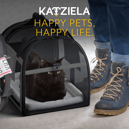 Rolling pet carrier with front mesh window and cushioned base; cat inside; dark gray.