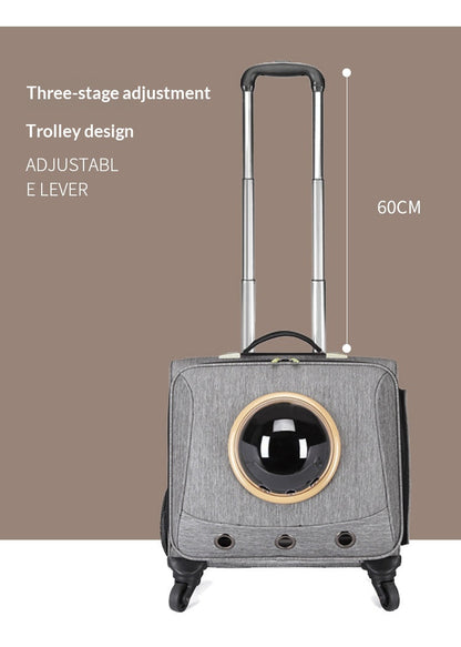 Light gray rolling pet carrier on extendable trolley handle with 60cm size label