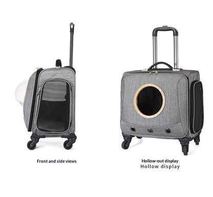 Light gray pet travel carrier front and side views with round window and mesh door
