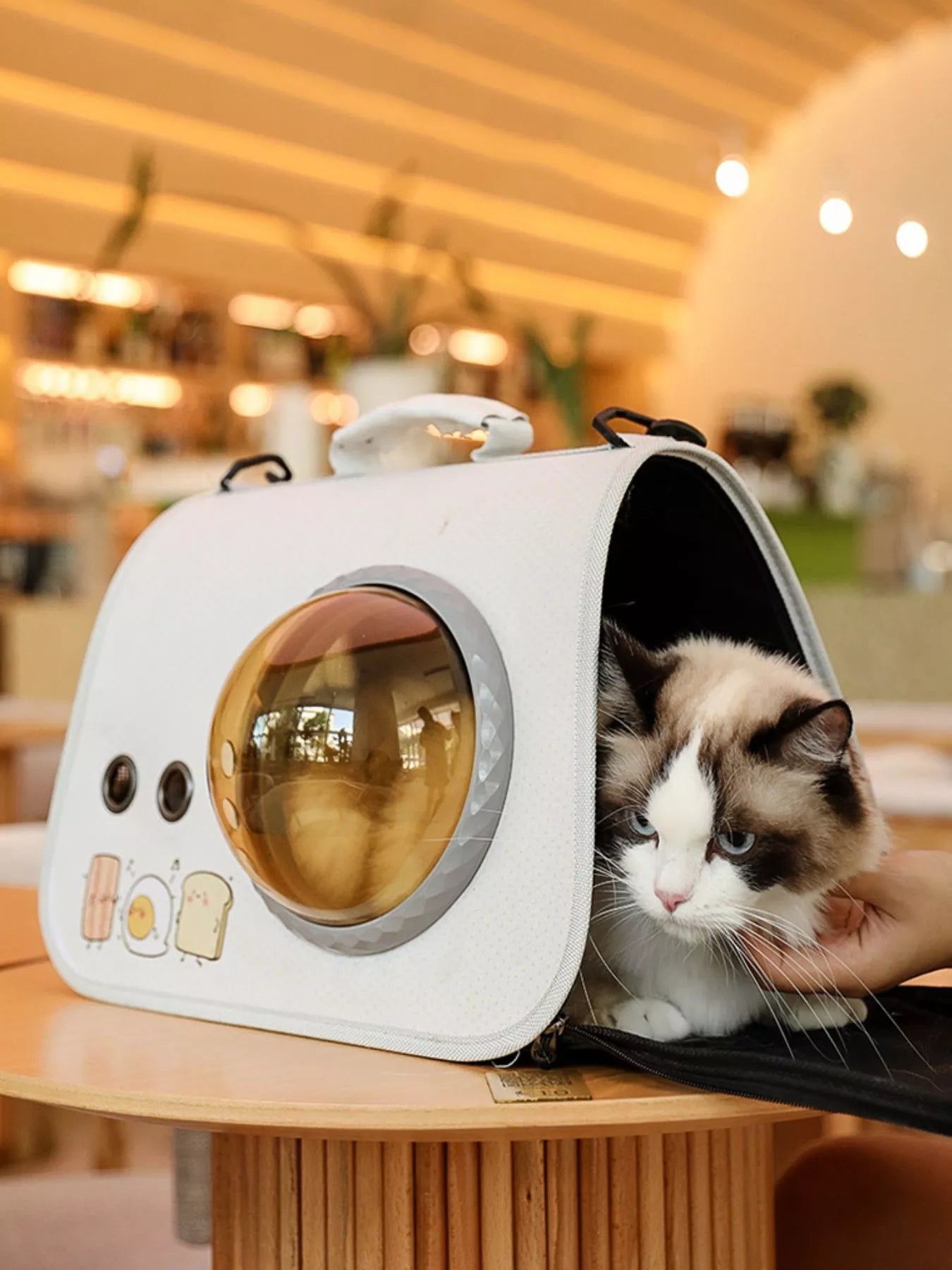 White portable pet carrier bag with round bubble window and open front flap
