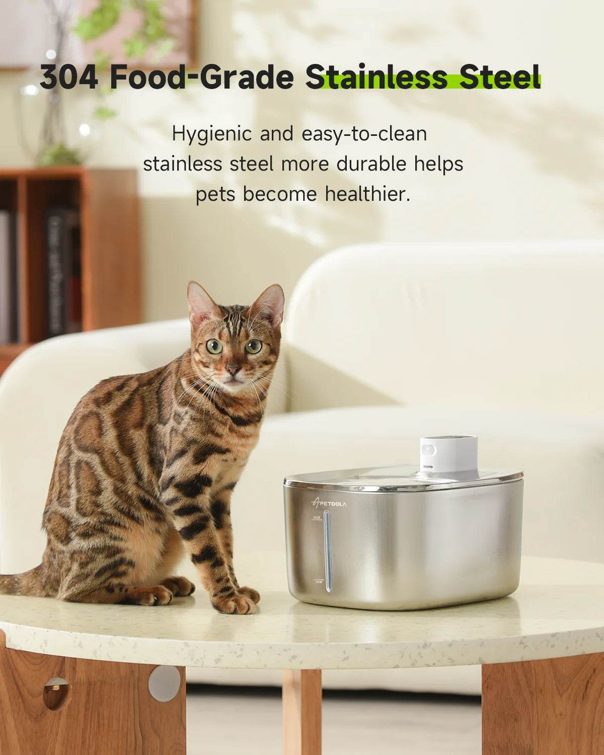 Brown tabby cat next to a stainless steel cordless pet water fountain on a tabletop