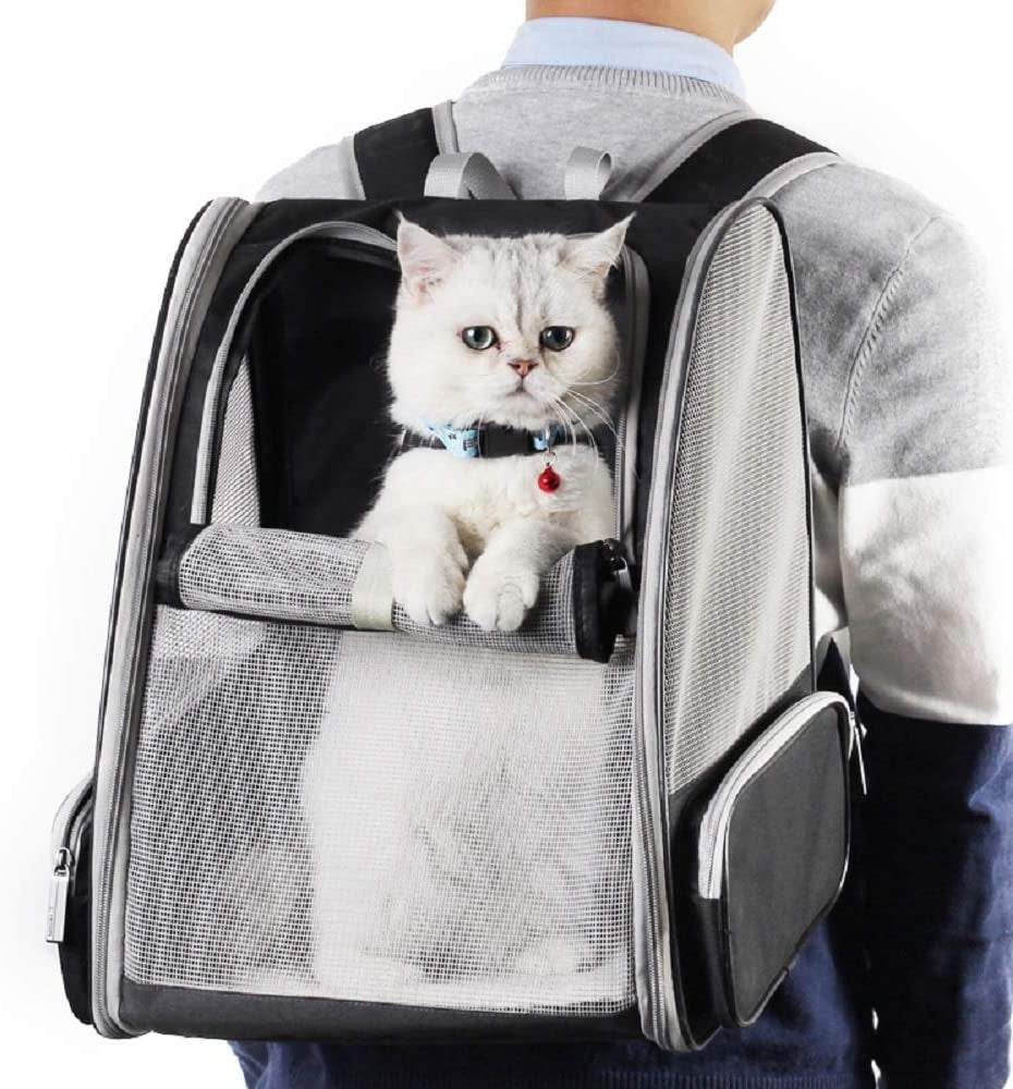 Grey bubble pet travel carrier holding a white cat, front mesh window and padded base