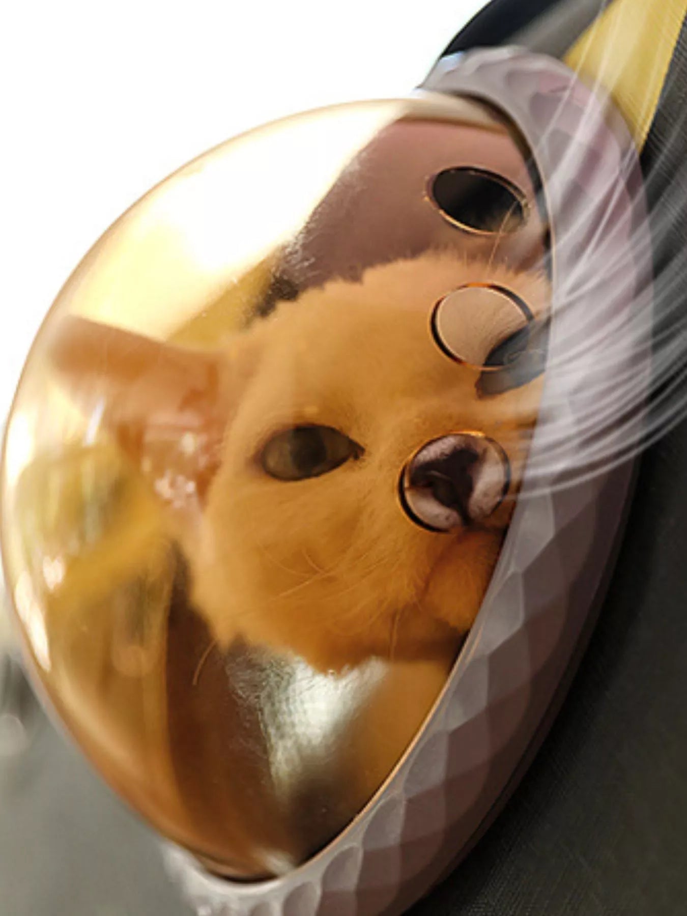 Tan pet carrier bag with round bubble window and small ear-and-face details