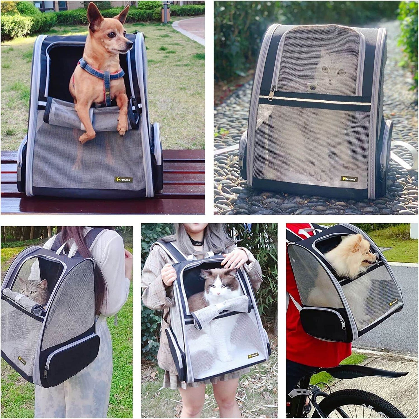 Grey bubble pet travel carrier with transparent front for small pets