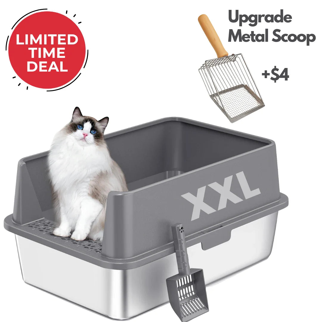 XXL gray cat litter box with metal scoop accessory and cat resting inside