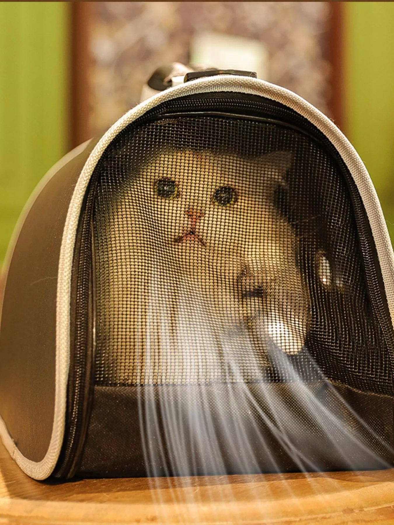 Beige mesh pet carrier bag with round window and zipper front opening