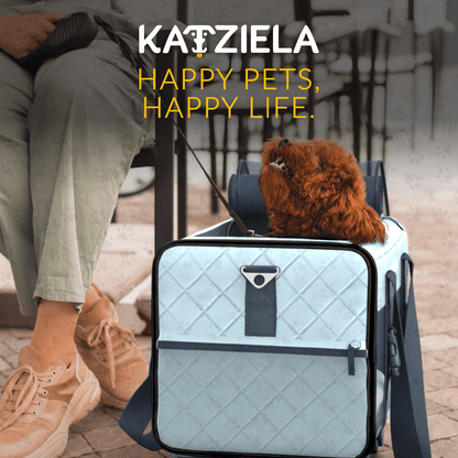Light blue quilted pet carrier with black straps and small dog inside