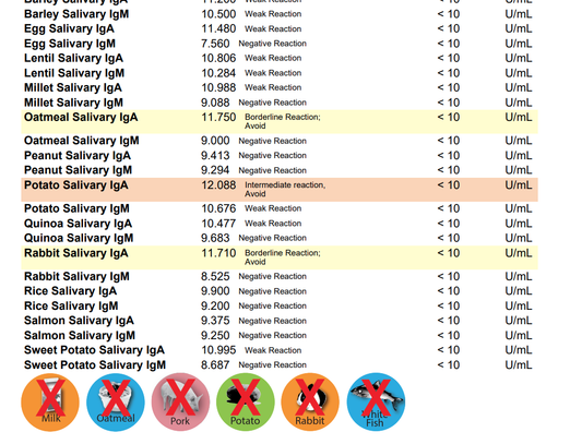 Results chart listing salivary IgA reactions for foods like chicken, beef, and fish