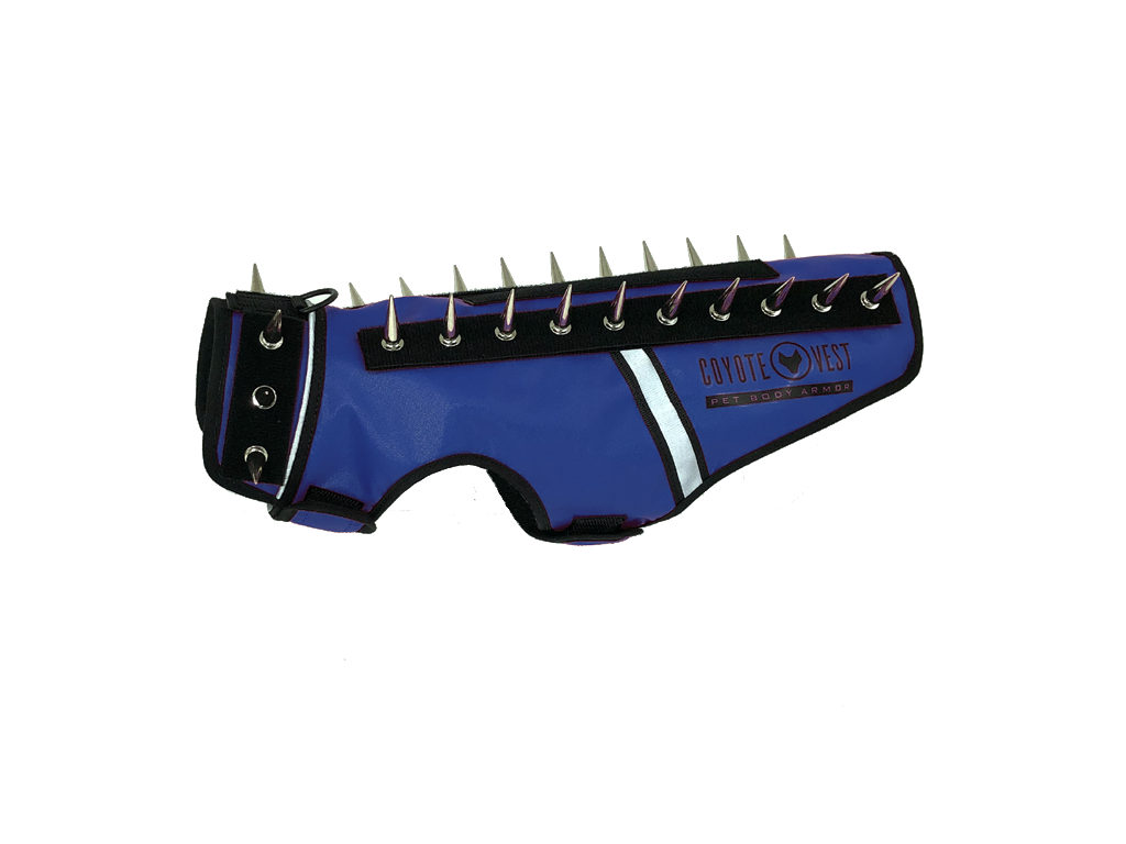 Blue spike-studded cat vest with black trim and metal studs along top edge