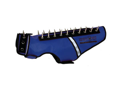 Spike vest for cats in blue with metal studs and white trim