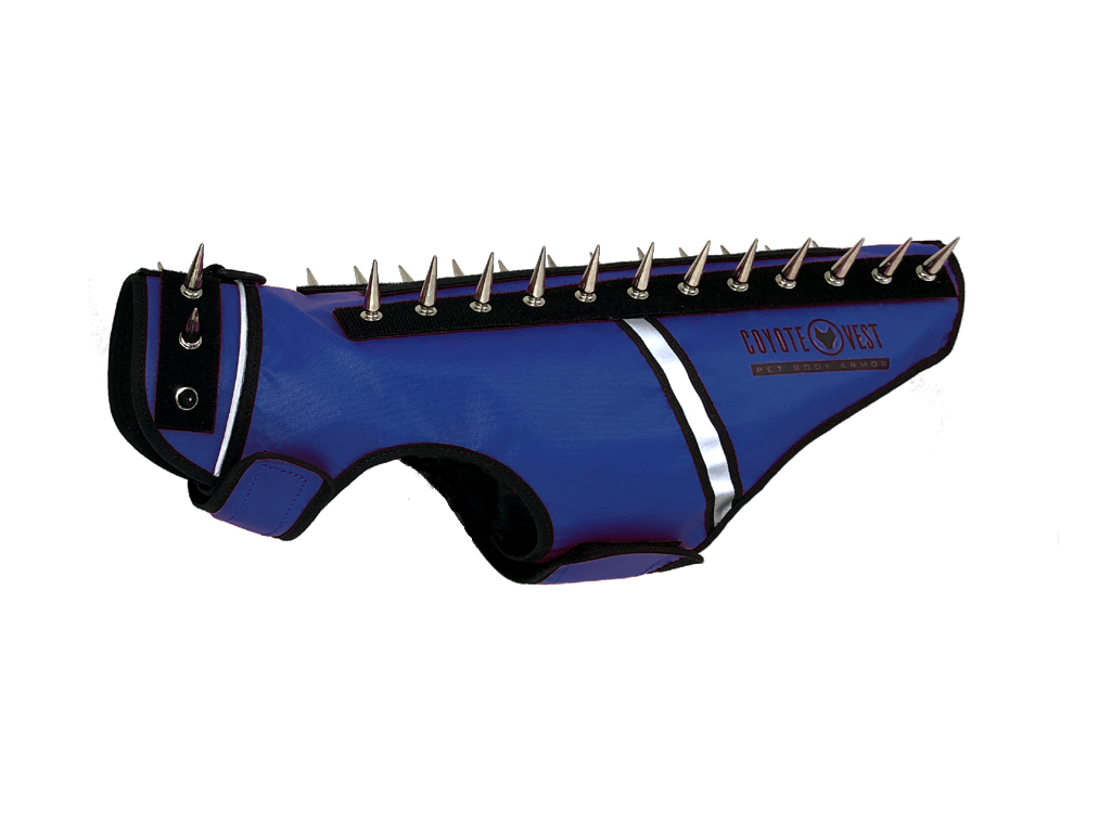 Spike vest for cats in dark blue with metal studs and white trim
