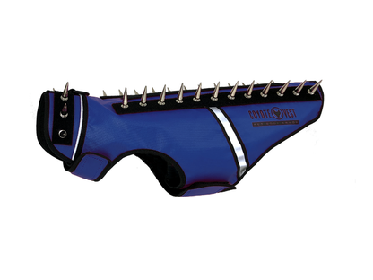 Spike vest for cats in dark blue with metal studs and white trim
