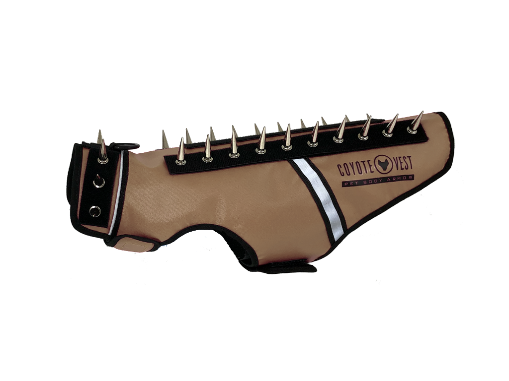 Spike vest for cats in tan with metal studs and white trim