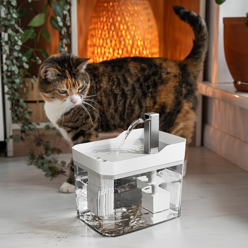 Tabby cat drinking from a transparent white-covered cat water fountain with flowing spout