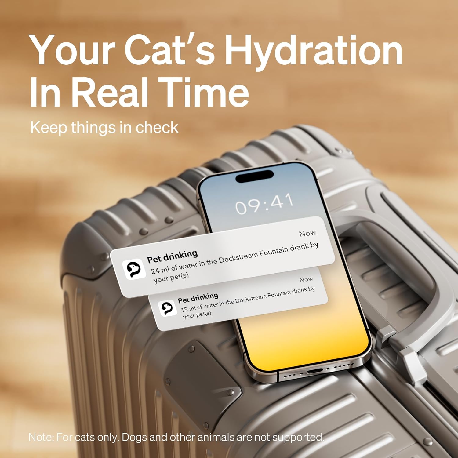 Gray cat water fountain with phone notification showing pet hydration alerts
