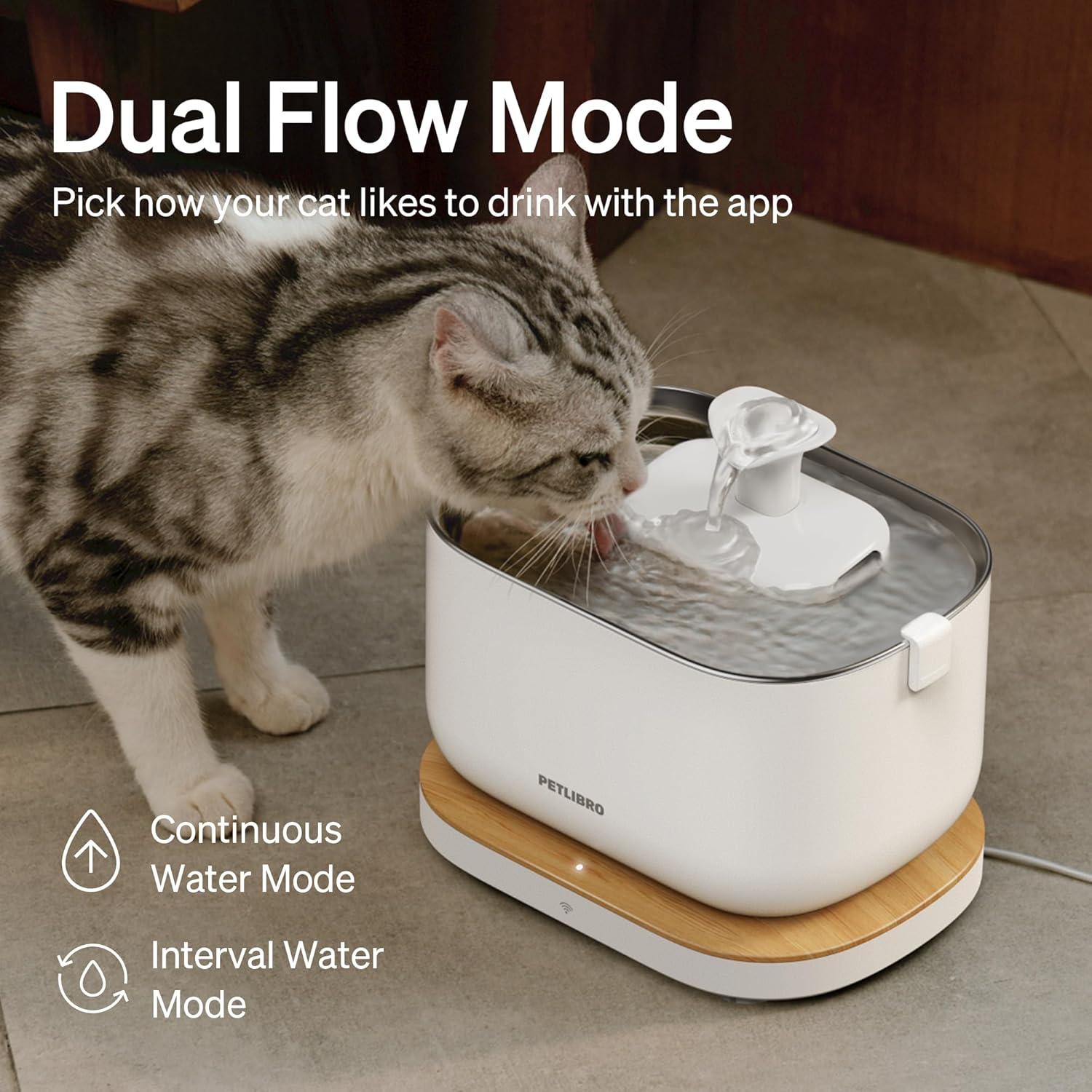 Cat drinking from white smart water fountain with continuous and interval modes shown