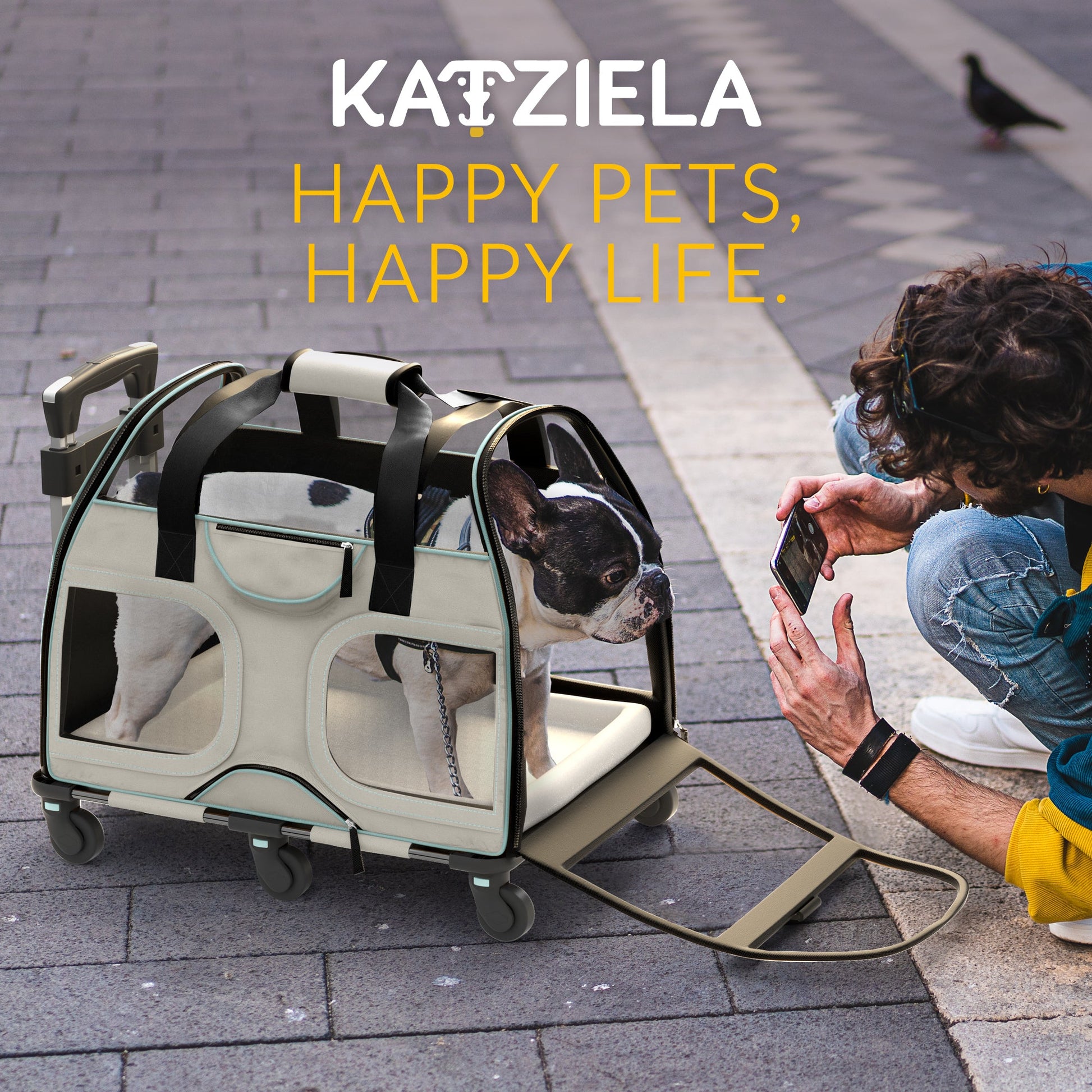 Teal pet carrier with mesh doors on rolling wheels, outdoors on a tiled sidewalk.