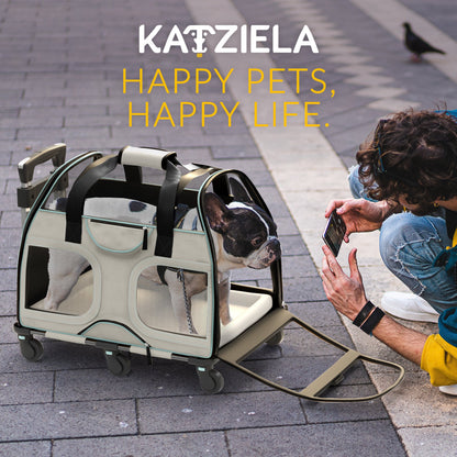 Teal pet carrier with mesh doors on rolling wheels, outdoors on a tiled sidewalk.
