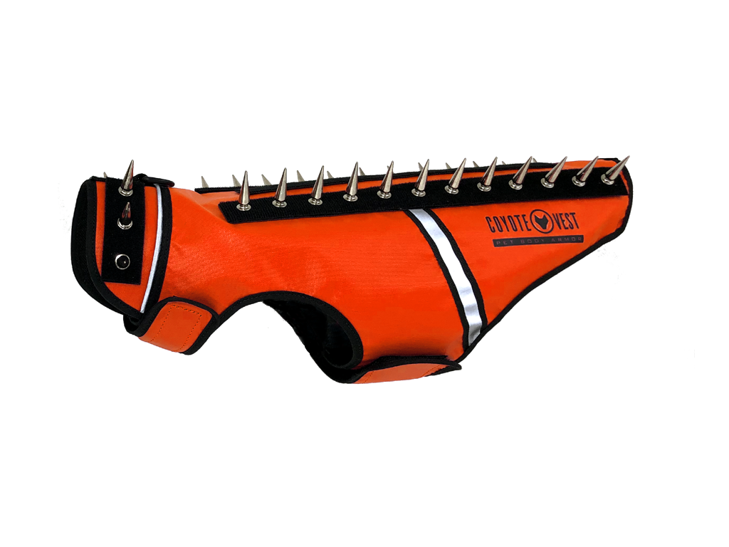 Spike vest for cats in fluorescent orange with metal studs and white trim