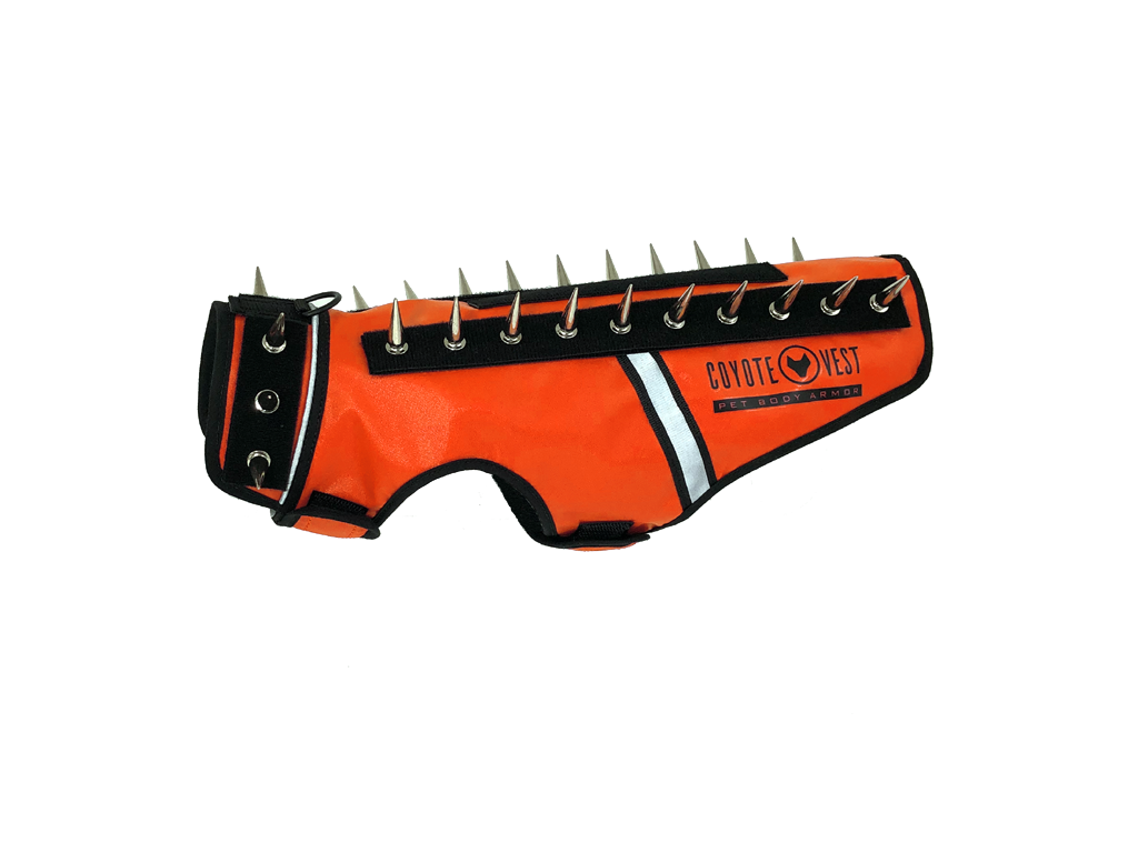 Orange spike-studded cat vest with black trim and metal studs along top edge