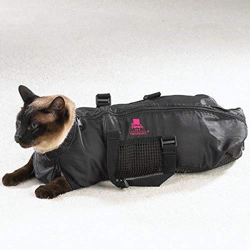 Black grooming bag with mesh panel and side pocket, worn on small dog