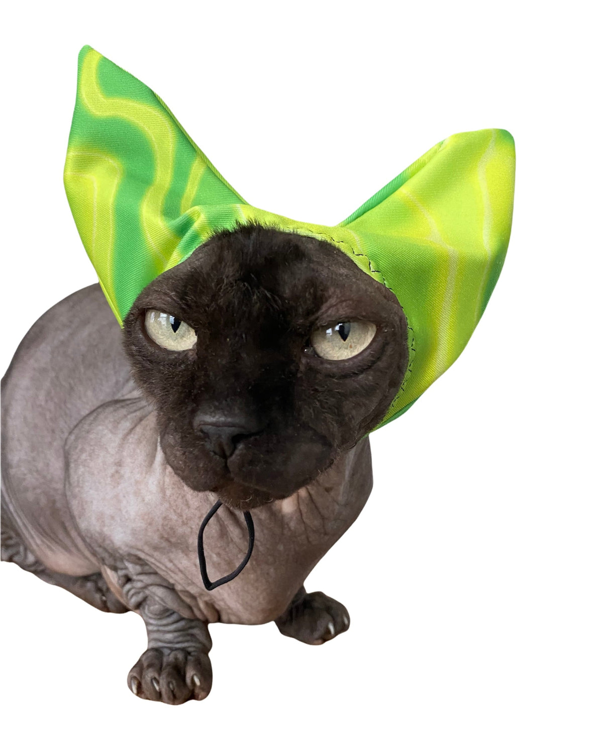 Black-and-gray cat wearing lime green pet shower ear cap with drawstring ties