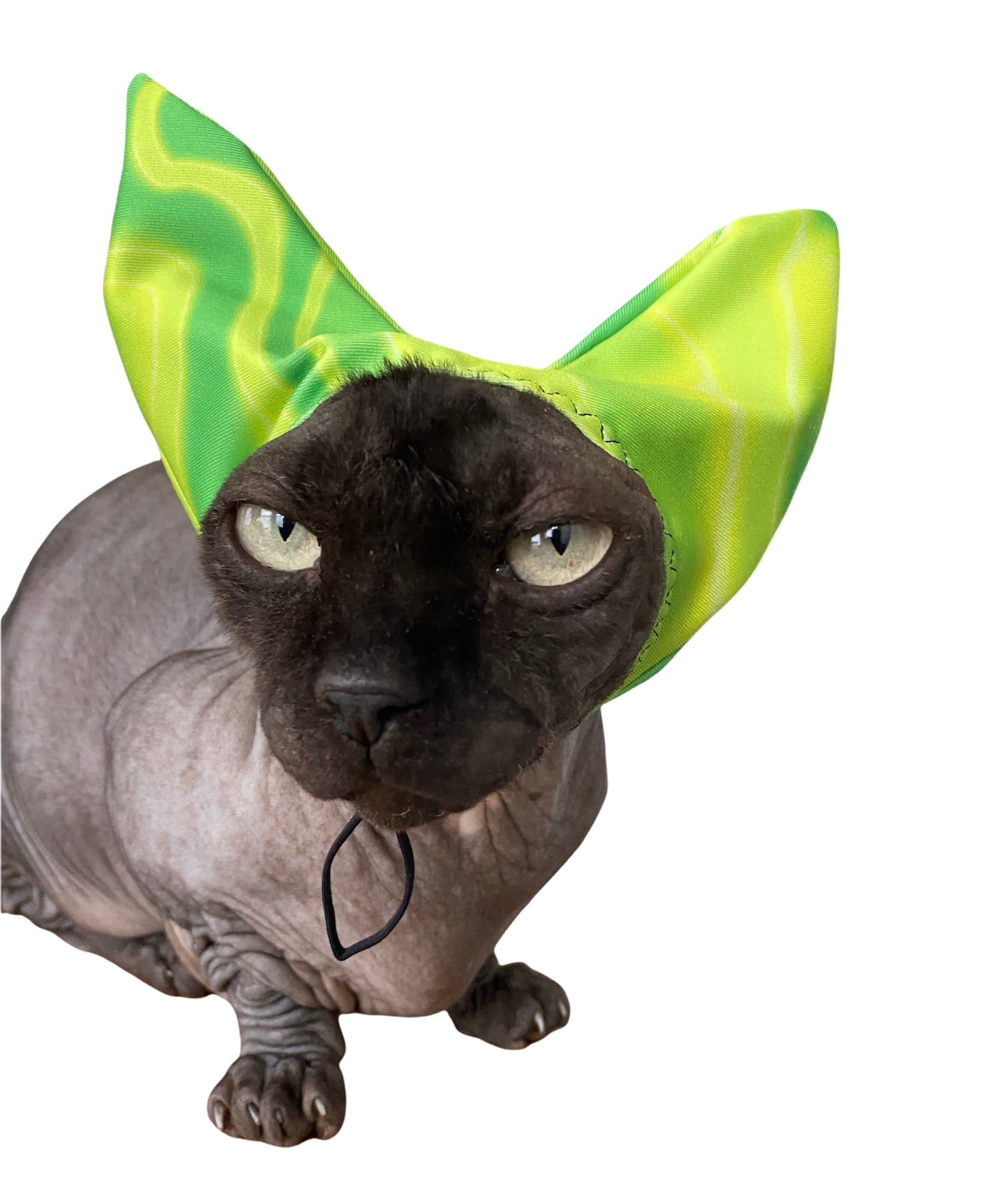 Black-and-gray cat wearing lime green pet shower ear cap with drawstring ties