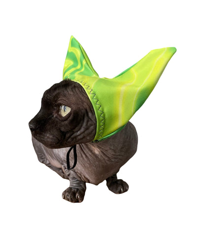 Small dog wearing lime green pet shower ear cap with drawstring ties