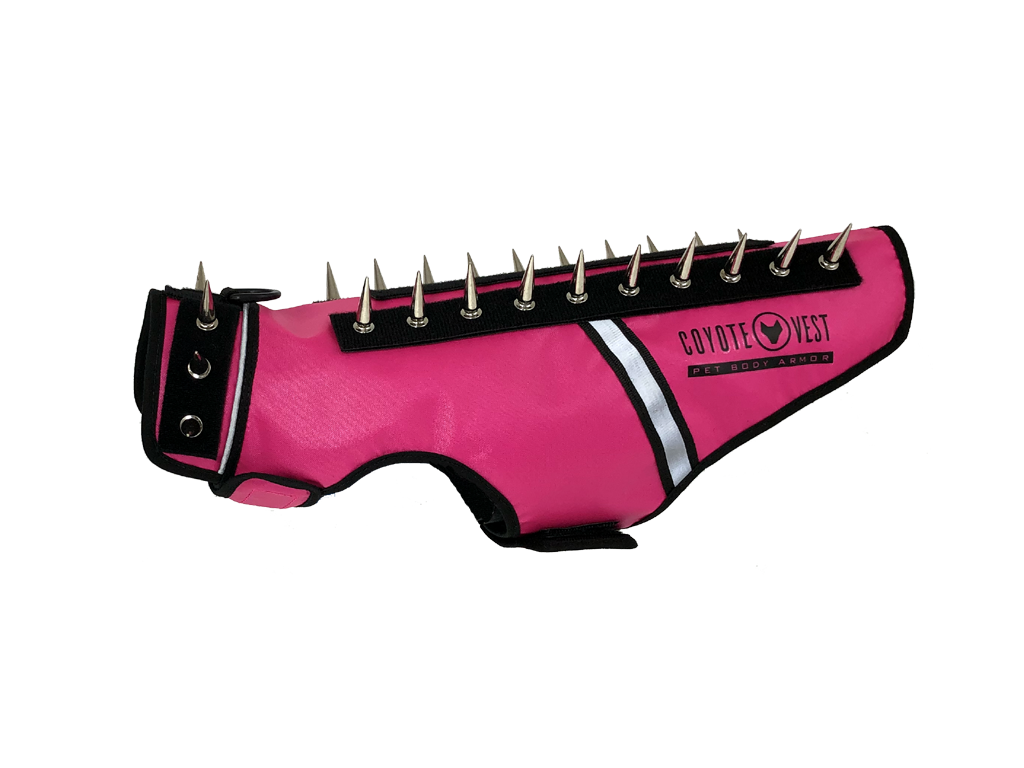 Spike vest for cats in neon pink with metal studs and white trim
