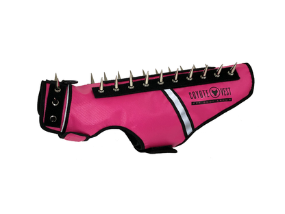 Spike vest for cats in neon pink with metal studs and white trim