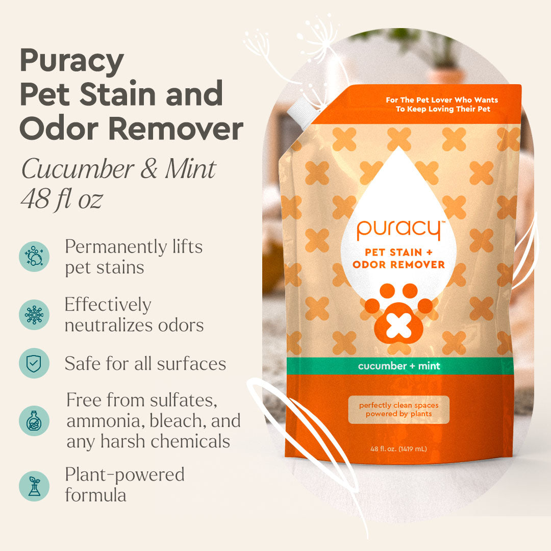 Puracy pet stain & odor remover pouch with cucumber & mint label, 48 fl oz