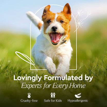 Small terrier dog outdoors with “Lovingly Formulated” label and safety icons