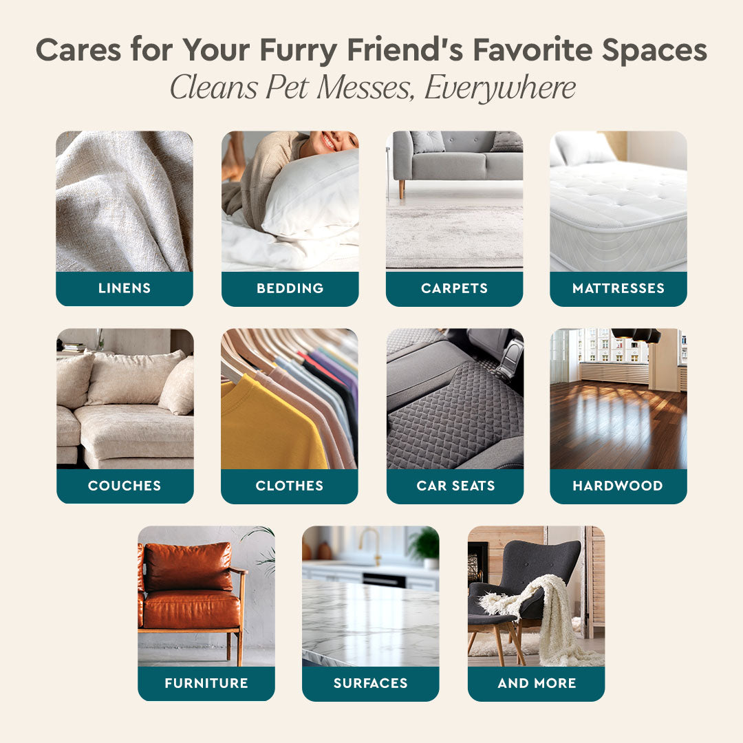 Pet stain & odor remover guide showing cleanable areas: linens, bedding, carpets, more