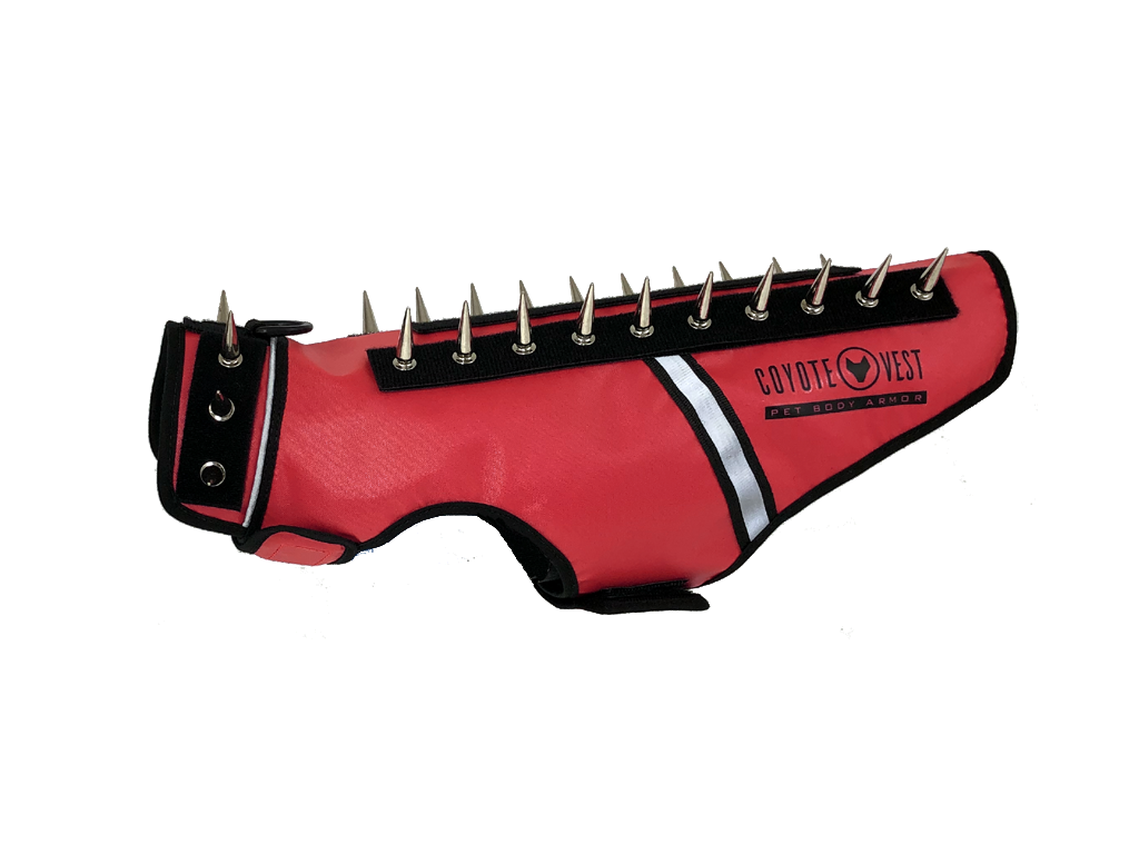 Spike vest for cats in red with metal studs and white trim