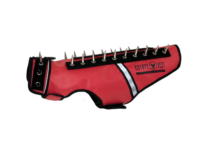 Spike vest for cats in red with metal studs and white trim