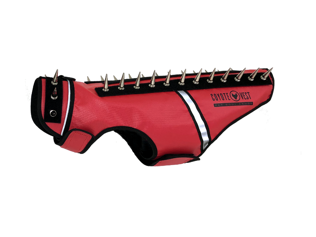 Spike vest for cats in coral red with metal studs and white trim