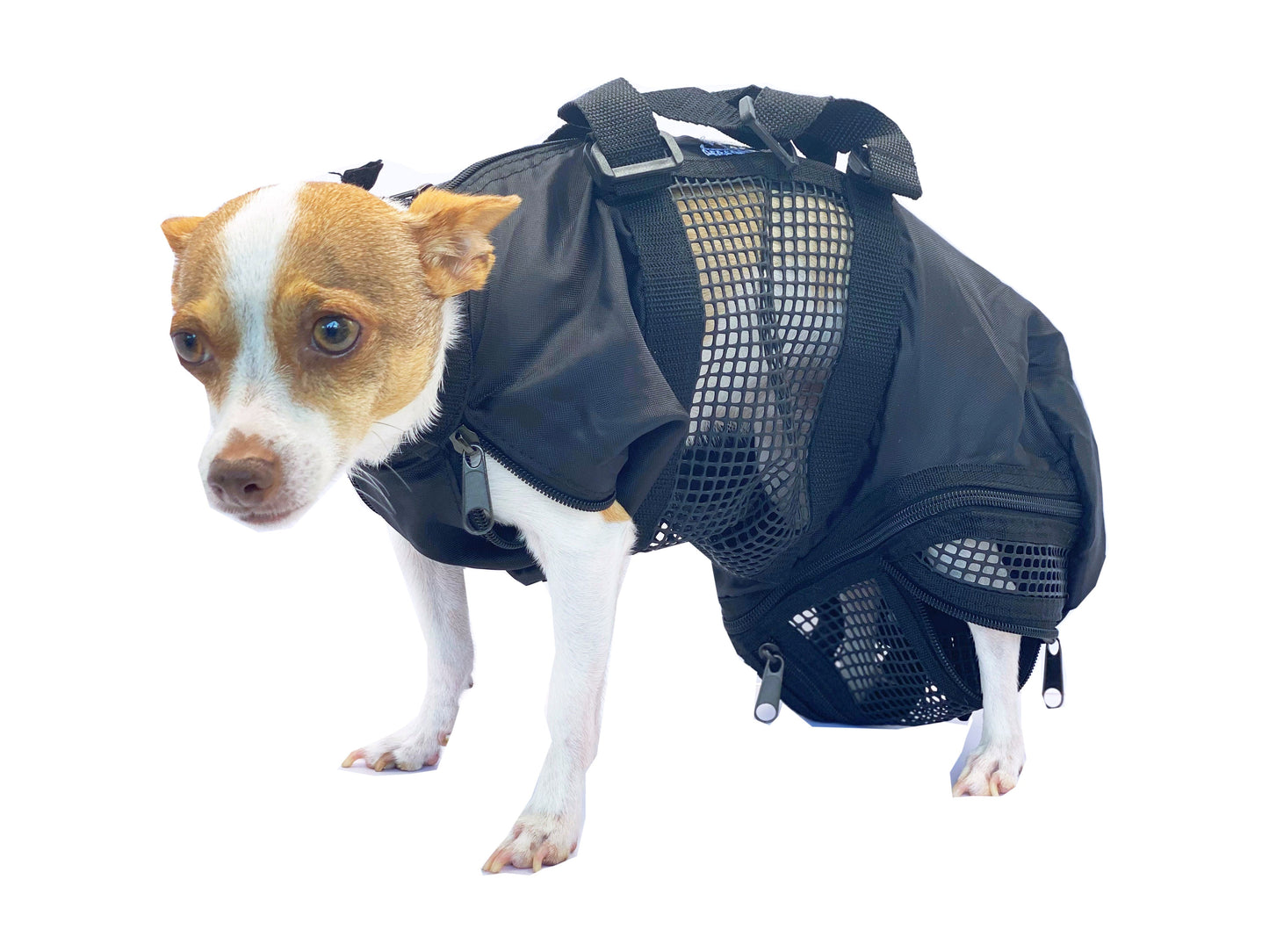 Cat and small dog grooming bag with mesh front, worn on small dog