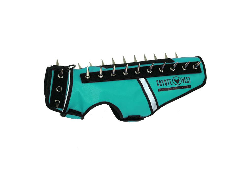 Turquoise spike-studded cat vest with black trim and metal studs along top edge