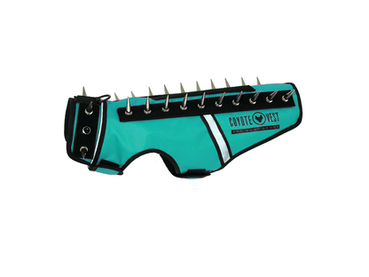 Turquoise spike-studded cat vest with black trim and metal studs along top edge