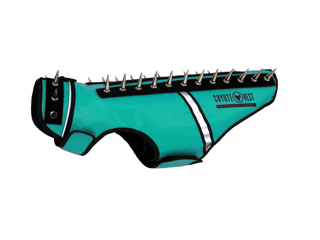 Turquoise studded cat vest with black back panel, metal spikes, and white trim