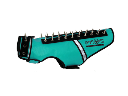 Spike vest for cats in turquoise with metal studs and white trim