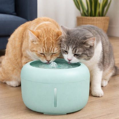 Light green pet water fountain with water bubbling as cats drink.